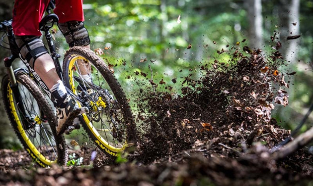 1488002353726731.jpg 1.jpg