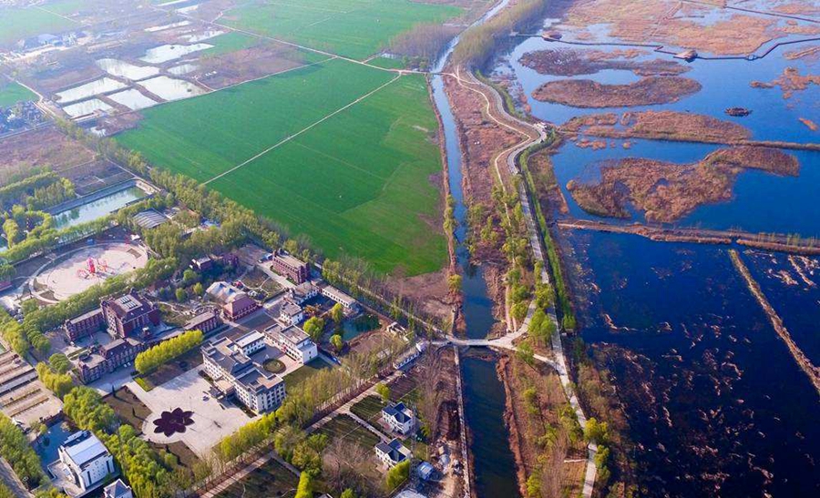 1561077738928005.jpg 14.jpg